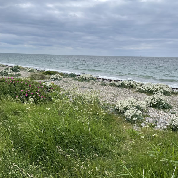 post_1250_fehmarn_umrundung_2_28