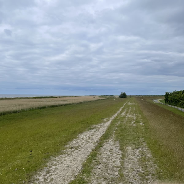 post_1250_fehmarn_umrundung_2_31