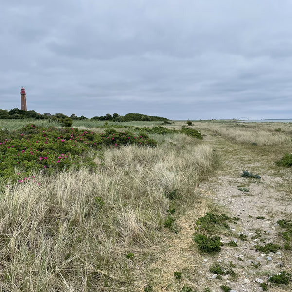 post_1250_fehmarn_umrundung_2_47