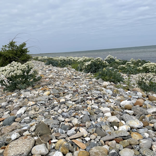 post_1250_fehmarn_umrundung_2_5