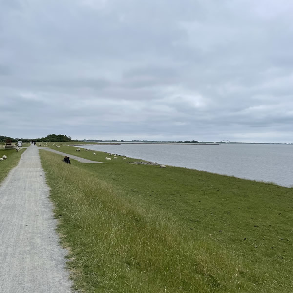 post_1250_fehmarn_umrundung_2_51
