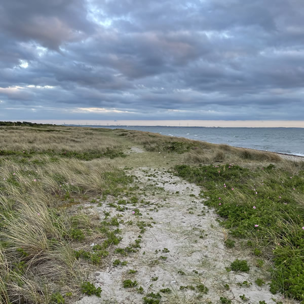 post_1254_trails_methode_8