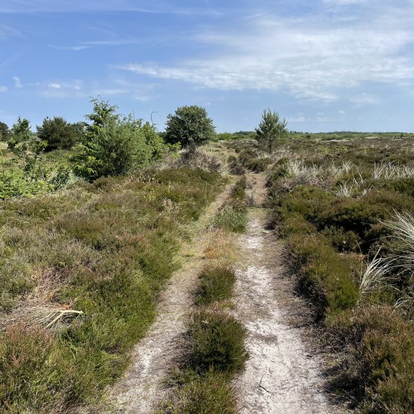 post_1272_filso_runde_1