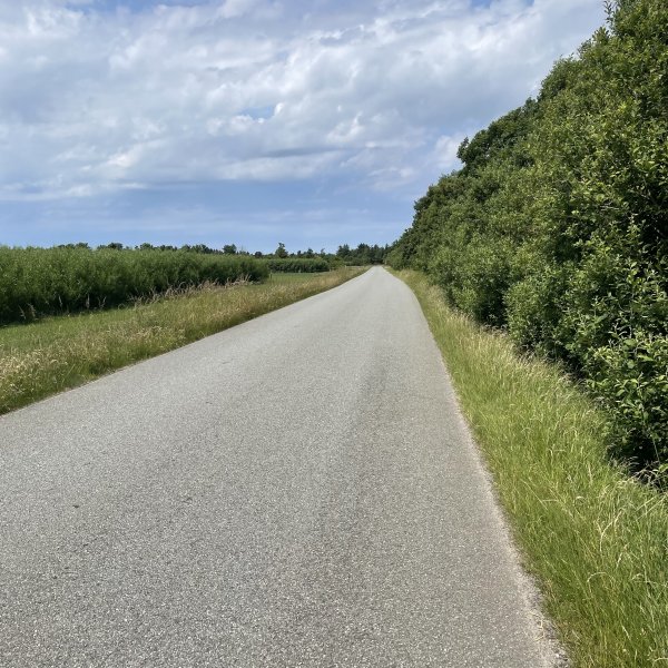 post_1272_filso_runde_7