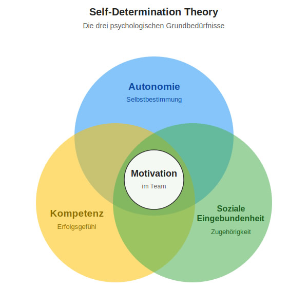 post_1273_self_determination_2